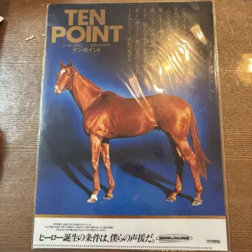 텐포인트 클리어 파일