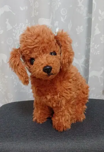 사계절 오리지널 봉제 인형 토이 푸들