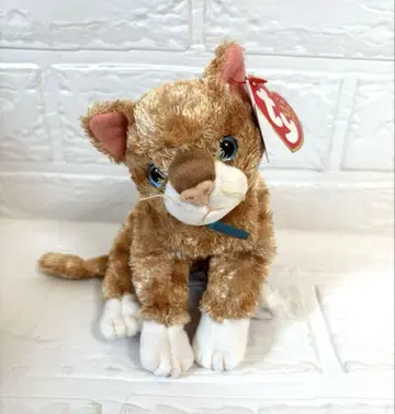 ty 봉제 인형 고양이 Mattie 비니 베이비 구하기 어려움