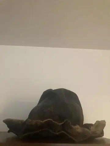 블랙 햇