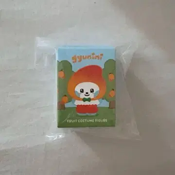 ZB1 zeroni gyunini 후르츠 코스튬 피규어