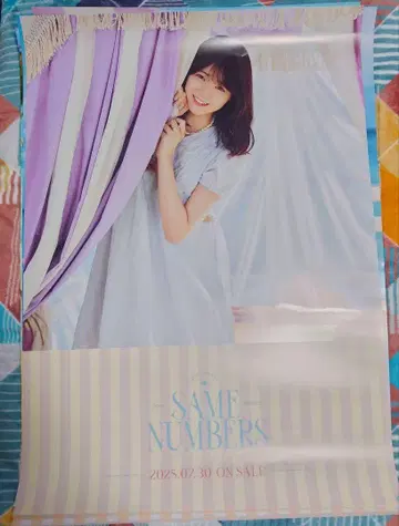포스터 노기자카46 SAME NUMBERS 묶음 판매