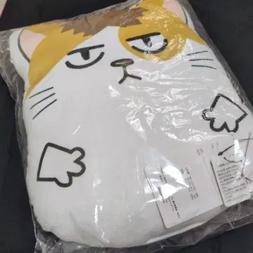 연마 연마 고양이 하이큐 연마 쿠션 봉제 인형