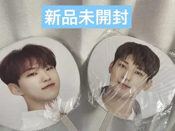 SEVENTEEN HOSHI WONWOO 부채 Ode to You
