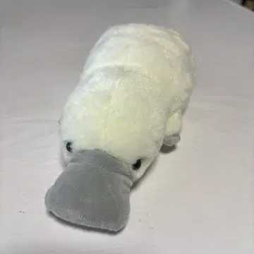 오리너구리 봉제 인형 화이트