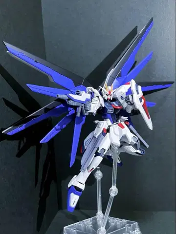 정크 HG 1/144 프리덤 건담