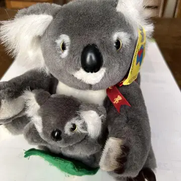 코알라 호주 코알라 부자 koala 봉제 인형