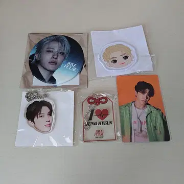 TREASURE 보물 정환 트레이딩 카드 얼굴 아크릴 키링 묶음 판매