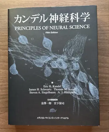 칸델 신경과학