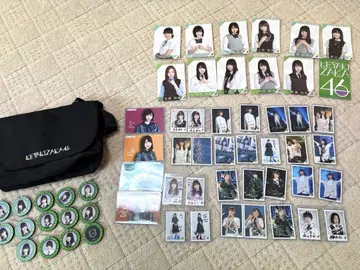 케야키자카46 사진 배지 세트 토트백 포함