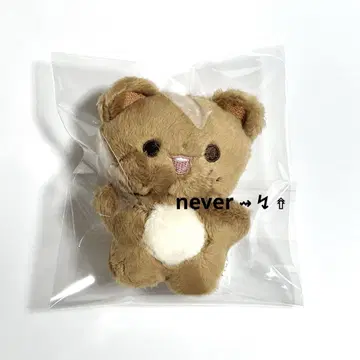 NCT DREAM 인형 키링 해찬