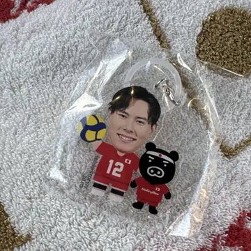 타카하시 아이 멀티 마커 캡슐 토이 가챠 배구 일본 대표 이시카와 유키