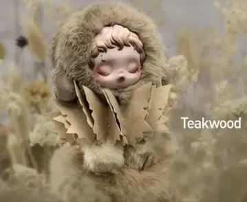 SKULLPANDA 스컬팬더 인상주의 Teakwood