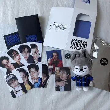 스트레이 키즈 KOBRA 포토 카드 세트