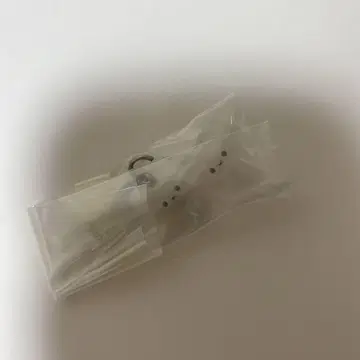 와카네즈미 메지루시 액세서리 포켓몬 포켓몬스터