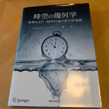 시공간의 기하학 특수 및 일반 상대성 이론의 수학적 기초