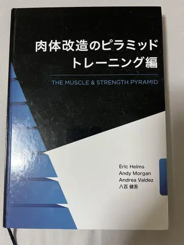 신체 개조의 피라미드 트레이닝 편