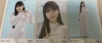 한여름 전국 투어 2025 Special 가와사키 벚꽃 컴프