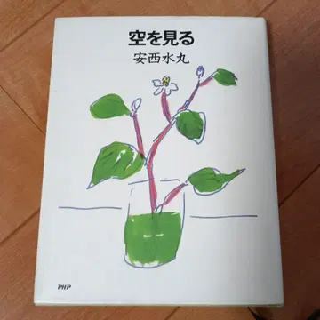 하늘을 보다 초판본