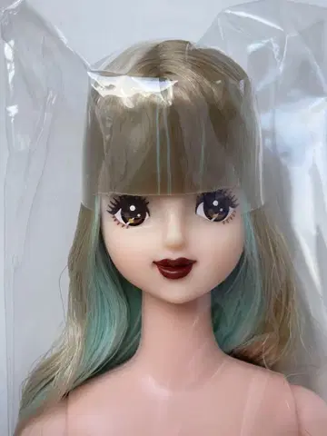 즐거운 인형 제니 프렌드 H 호시자와 나나코 블랙 립