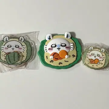 치이카와 홍콩 한정판 브라운 모몽가