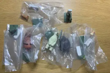 카이요도 사토 쿠니오의 동물들 츠레 화장실 시간 가챠
