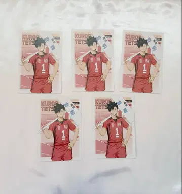 쿠로오 테츠로 하이큐 주장 부주장 엽서