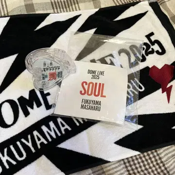 후쿠야마 마사히로 SOUL DOME LIVE 2025 라이트 뱅글 타월