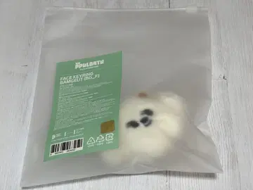 TXT 범키 페이스 키링