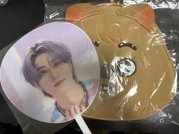 straykids 스키즈 한 케이스