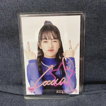 사립 에비스 중학교 사쿠라기 코코나 사인 포함 브로마이드