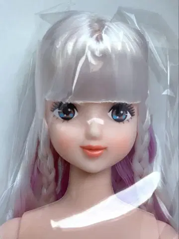 즐거운 인형 카오리짱 리카짱 캐슬