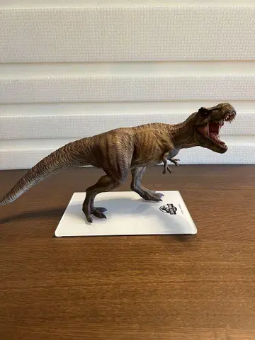 DINO DREAM 한정판 티라노사우루스