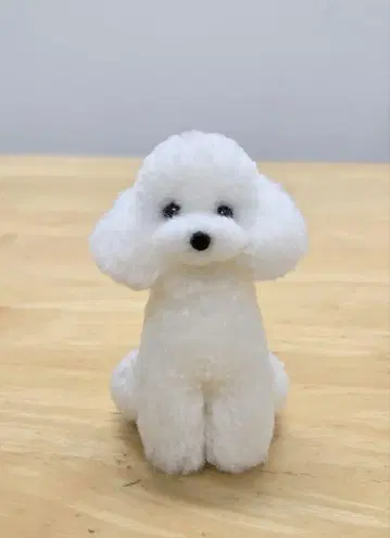 화이트 푸들 폼폼 토이푸들