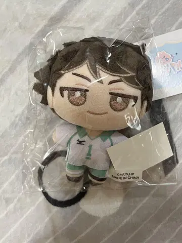 오이카와 토오루 팔