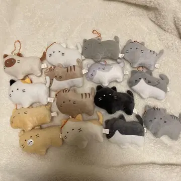 동그란 눈 고양이 전종 세트