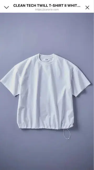 carorie clean tech white