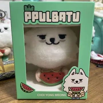PPULBATU 용몬 SUMMER TOGETHER