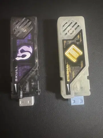 DX 가이아 메모리 이터널 스컬