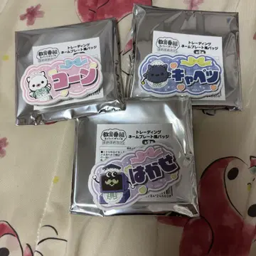 교육 방송 호메호메 카페 교육 방송 타마 트레이딩 명찰풍 배치