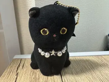 모프 샌드 마스코트 크로냥