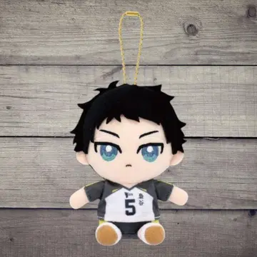 [하이큐!!] Chibi 누이 오스와리 마스코트 아카아시 케이지