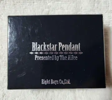 Black Pendant THE ALFEE 22cm 펜던트 실버