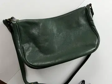 일비종떼 천연 가죽 그린