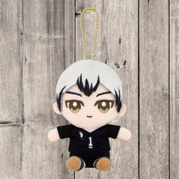 [하이큐!!] Chibi 누이 오스와리 마스코트 키타 신스케