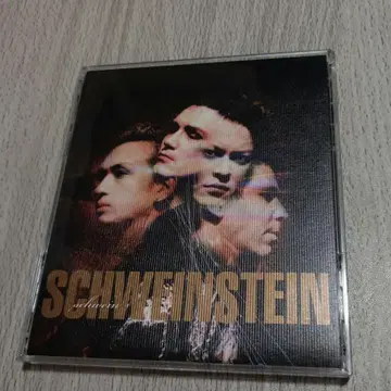 SCHWEIN/SCHWEINSTEIN
