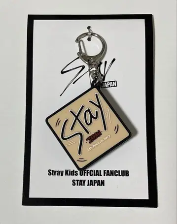 StrayKids 스키즈 승민 FC 한정판 보이스 키링