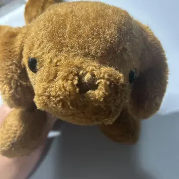 브라운색 강아지 봉제 인형