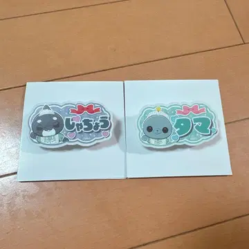 교육 방송 호메호메 카페 명찰풍 배지 타마 사장