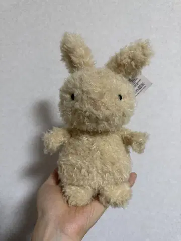 JELLY CAT Little Bunny 봉제 인형